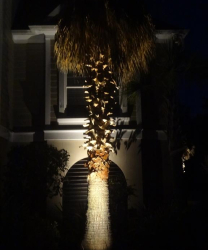 Landscape Lighting, Irrigation Systems